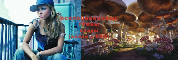 mdpv Лиски
