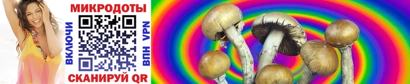 Купить где  Сухиничи  Галлюциногенные грибы прущие грибы 